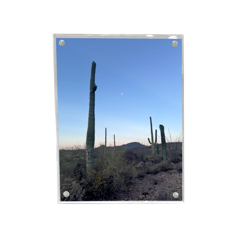 Wall Magnet Frame in 11" x 14"
