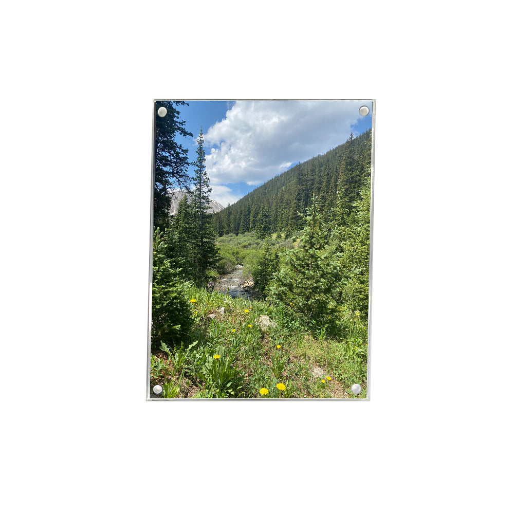 Wall Magnet Frame in 8" x 10"