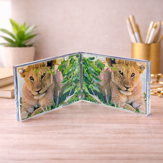 Landscape Double Magnet Frame: 4 Photos Total