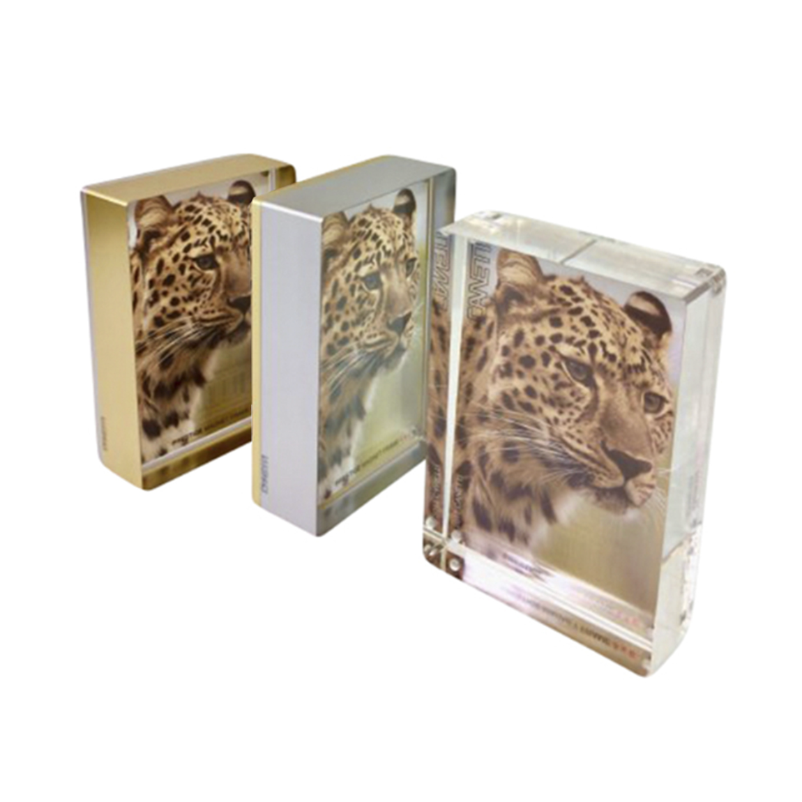 Prestige Magnet Frame in Gold