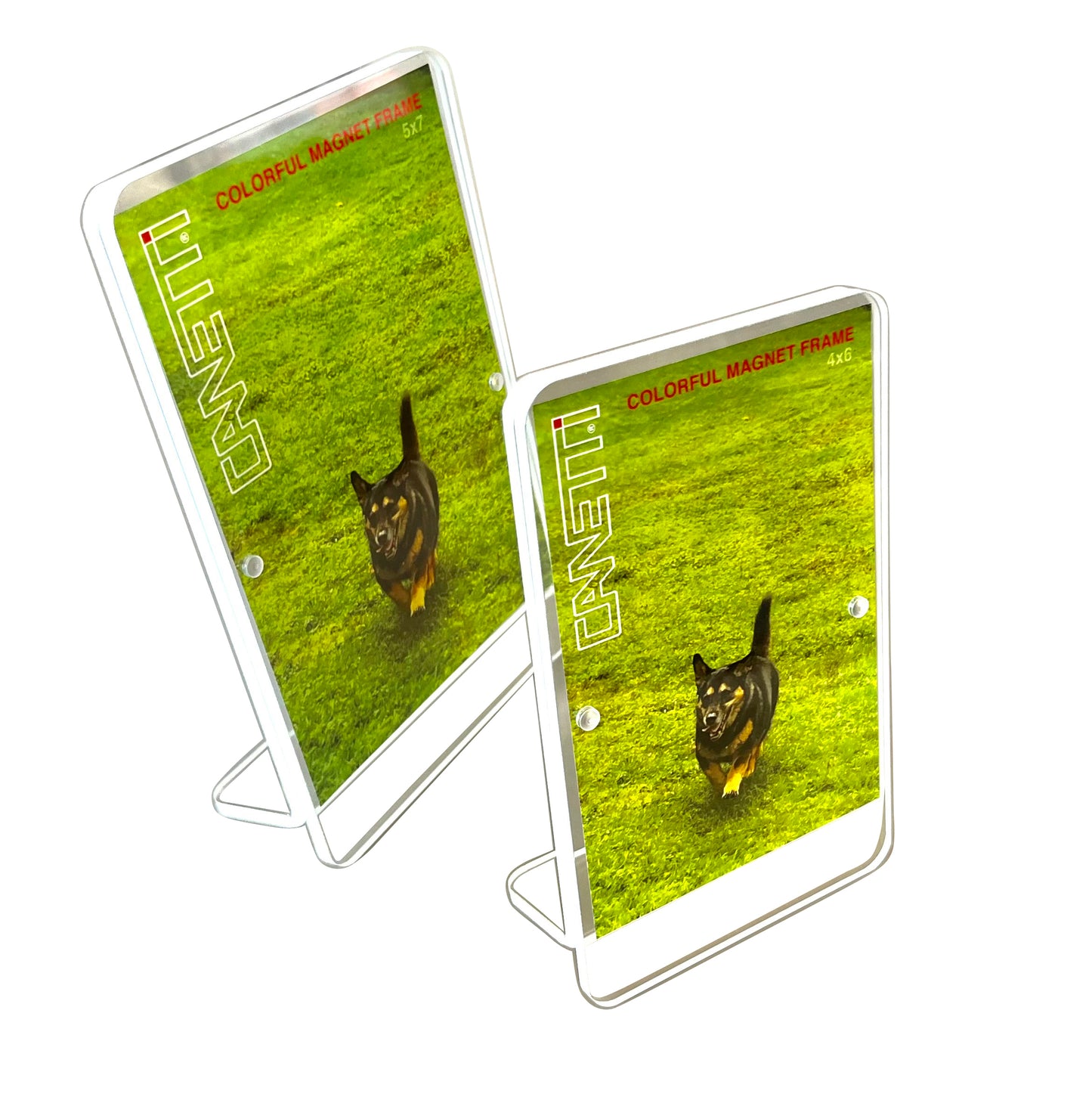 Colorful Acrylic Magnet Frame in White