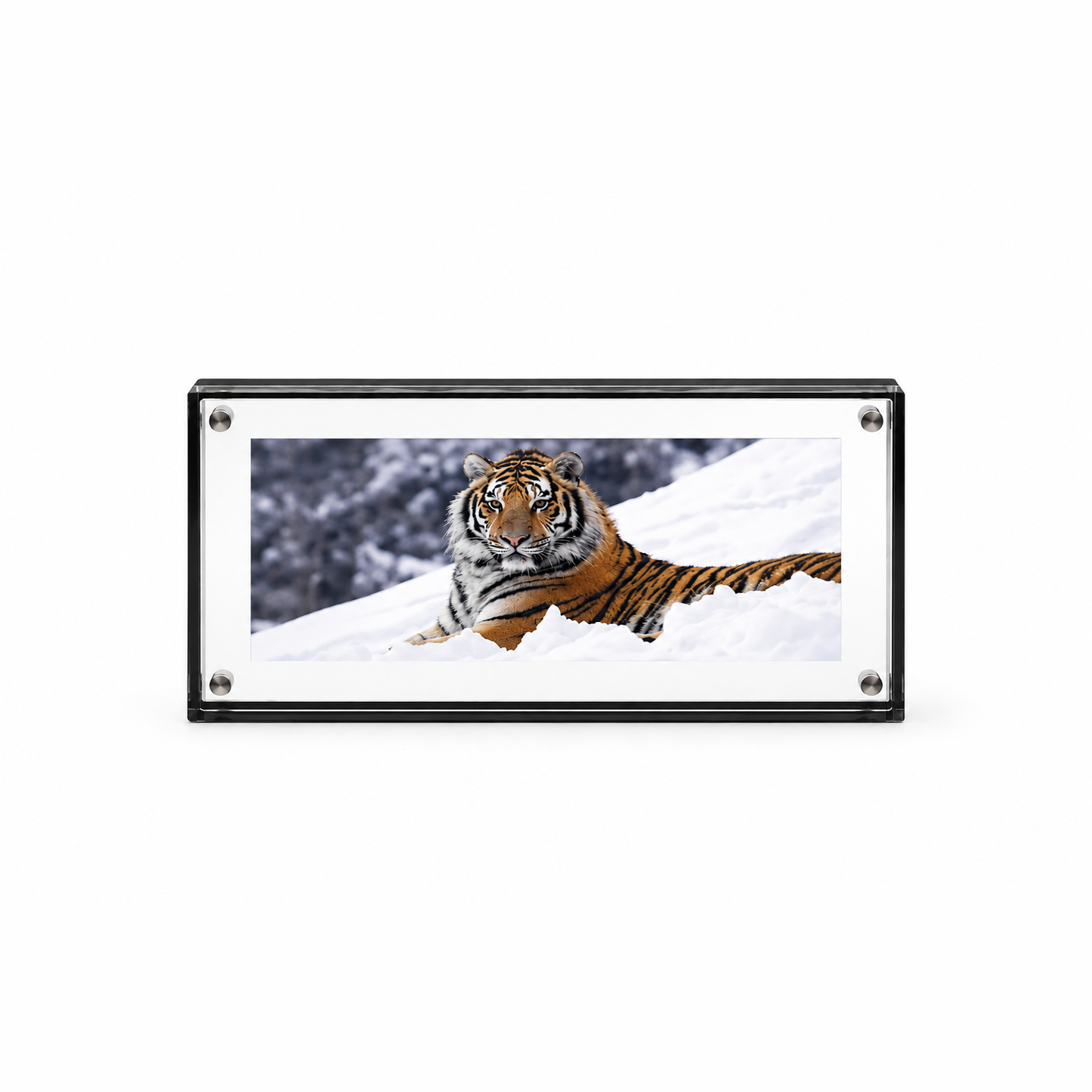 Color Edge Acrylic Magnet Frame in Graphite