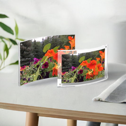 Curved Magnet Frame - Set of 3 Sizes