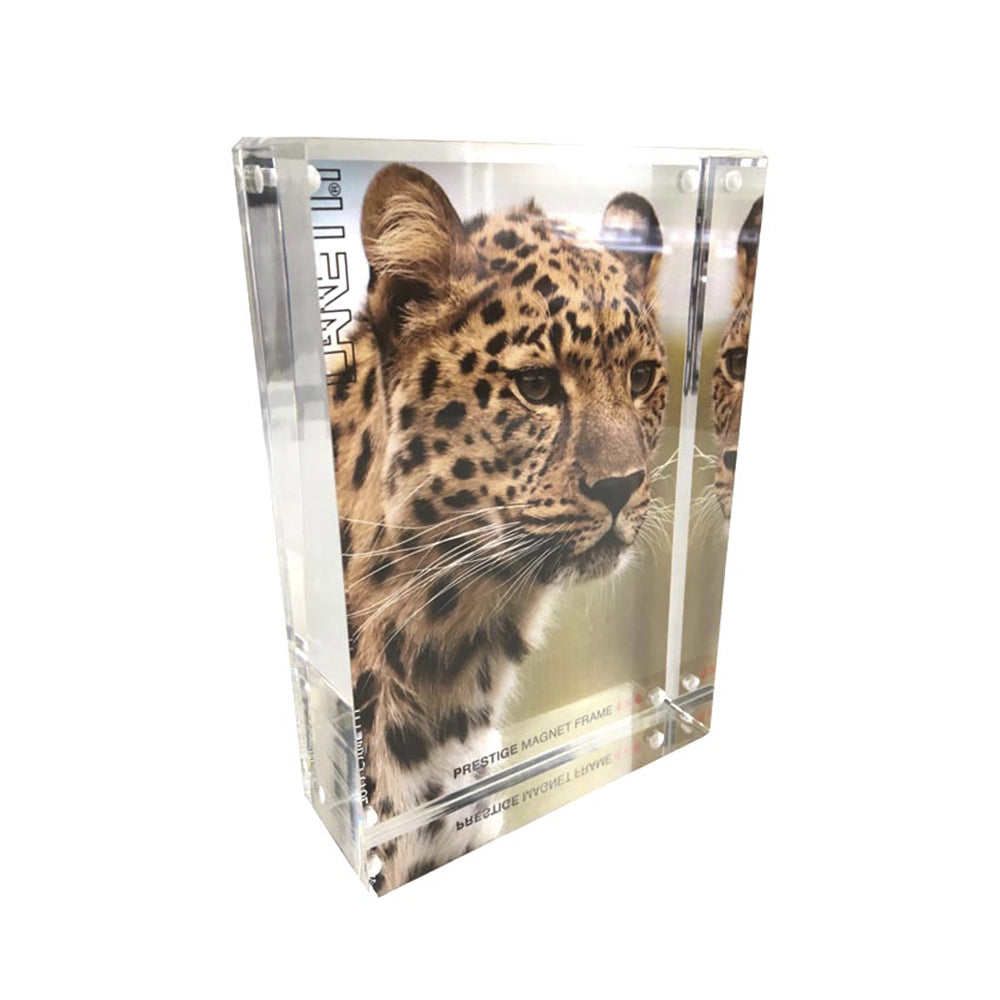 Prestige Magnet Frame in Clear