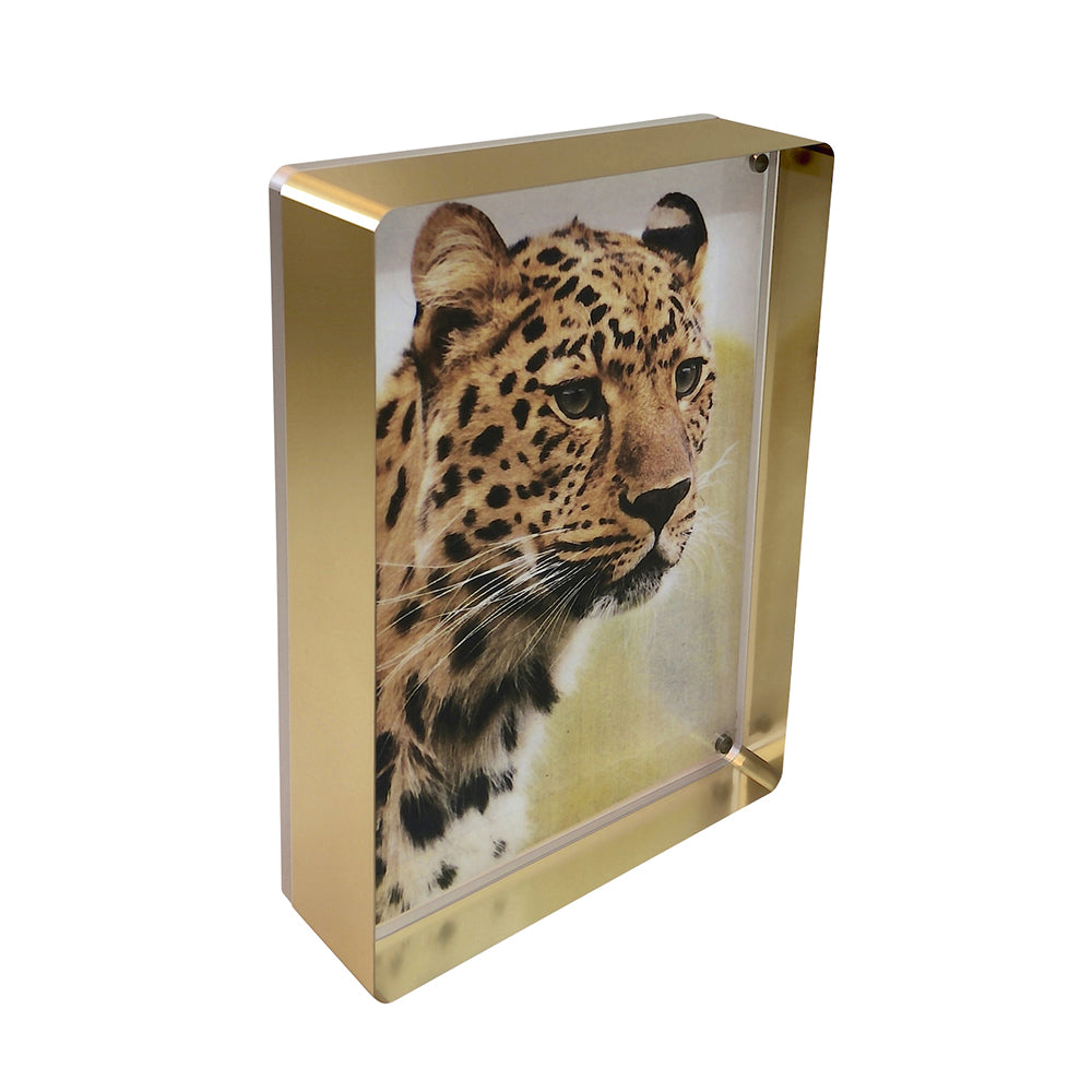 Prestige Magnet Frame in Gold
