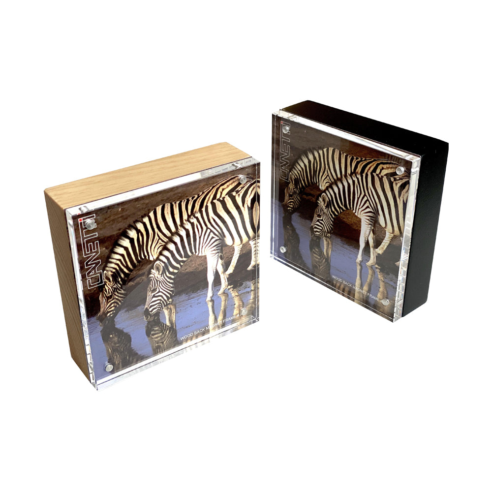 Wood Back Magnet Frame in Black