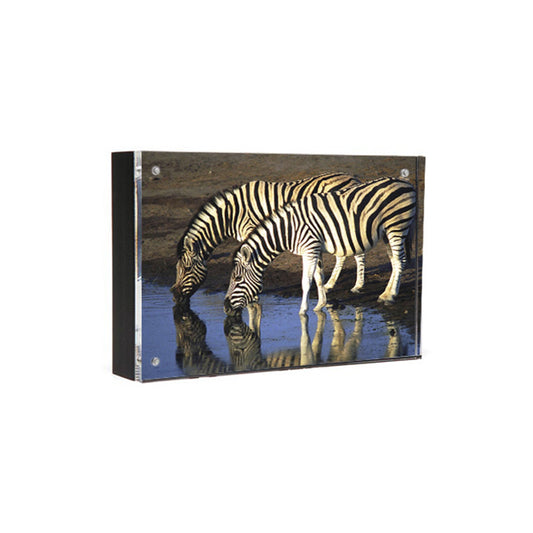 Wood Back Magnet Frame in Black