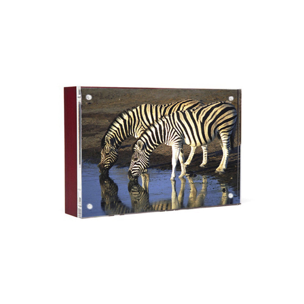 Wood Back Magnet Frame in Mahogany