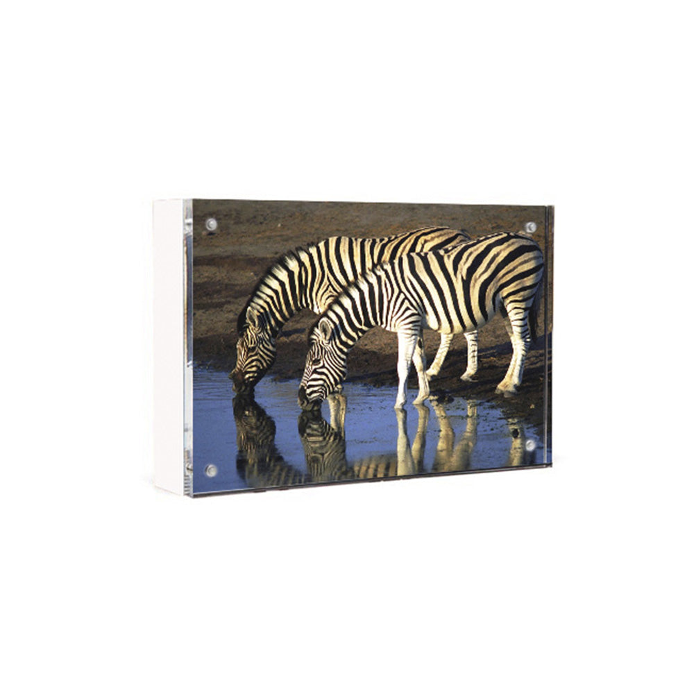 Wood Back Magnet Frame in White