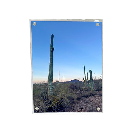 Wall Magnet Frame in 11" x 14"