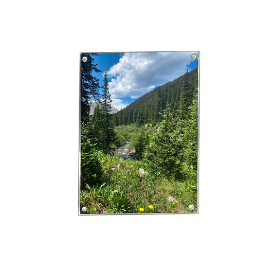 Wall Magnet Frame in 8" x 10"