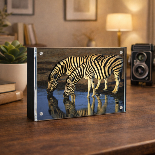 Wood Back Magnet Frame in Black