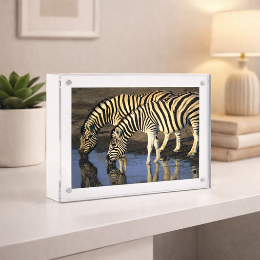 Wood Back Magnet Frame in White