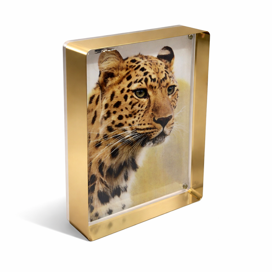 Prestige Magnet Frame in Gold