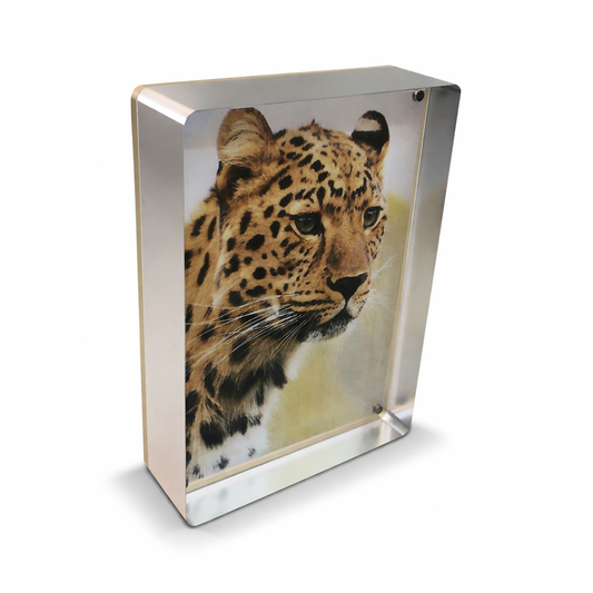 Prestige Magnet Frame in Silver