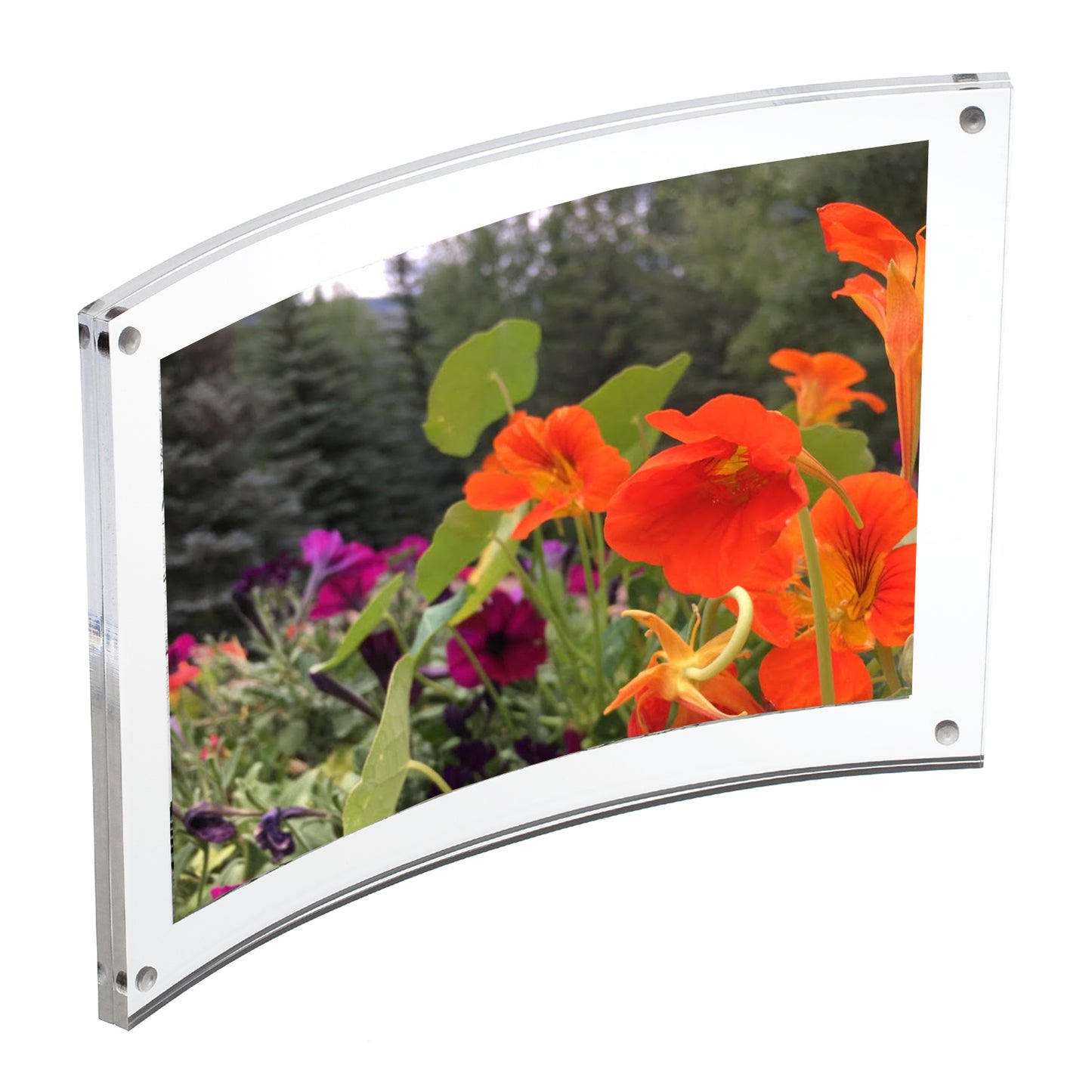 Curved Magnet Frame