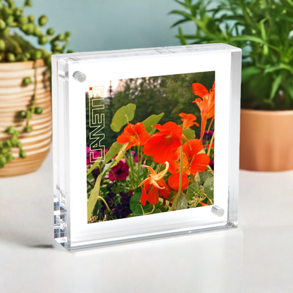 Original Square Magnet Frame