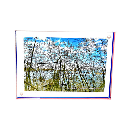 5"x7" Dual-Color Edge Magnet Frame - Rose and Blue