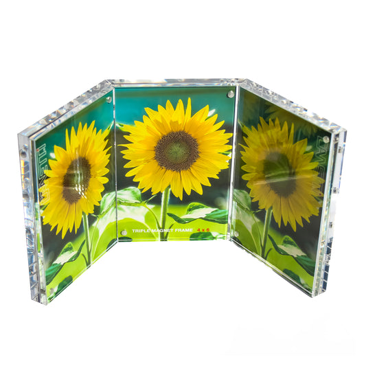 Triple Magnet Frame: 6 Photos Total